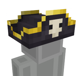 Pirate Hat