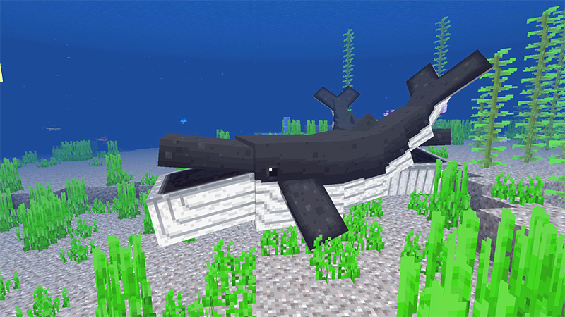 Ocean Expansion Add-On 3.0 Ocean Expansion Add-On 3.0 by Hourglass Studios