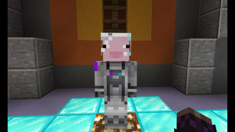 Gift InPvP Cosmetic Screenshot #1