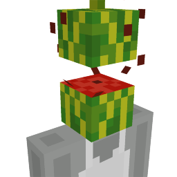 Melon Head