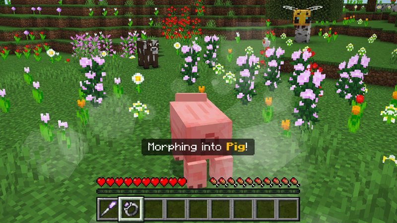 Morph Into Anything Add-On Screenshot #1