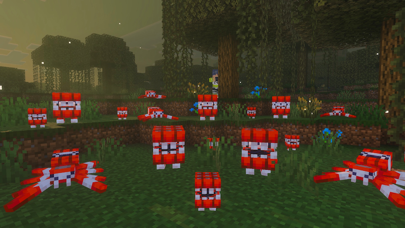 TNT+ Add-On TNT+ Add-On by Builders Horizon