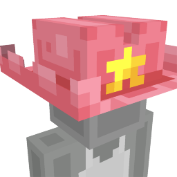 Pink Cowboy Hat