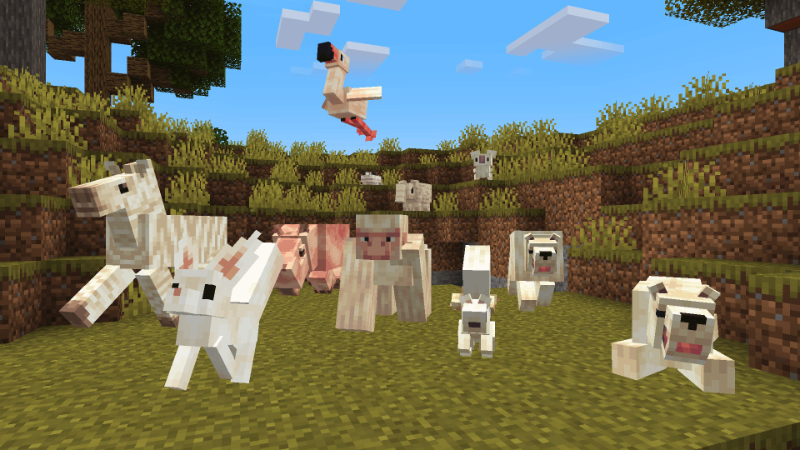 Albino Animals by Hourglass Studios