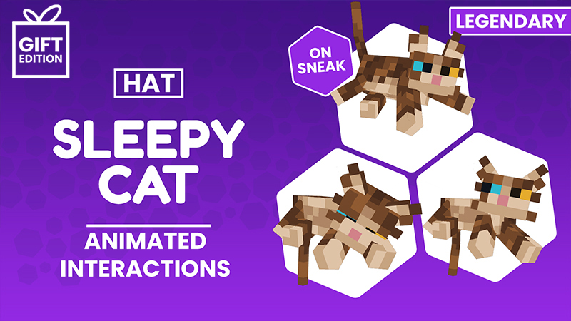 Sleepy Cat Hat - Gift