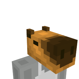 Capybara head