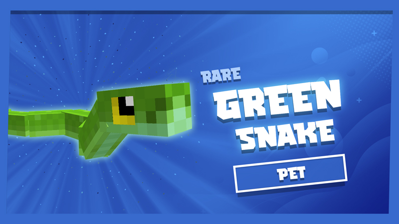 Green Snake Pet