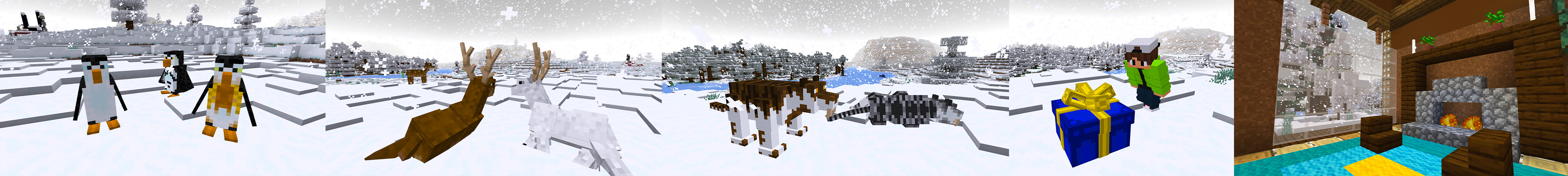 Winter Expansion Panorama