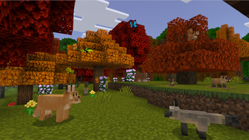 Wilderness Add-On by Lifeboat