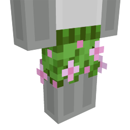 Pink Petal Shorts Key Art