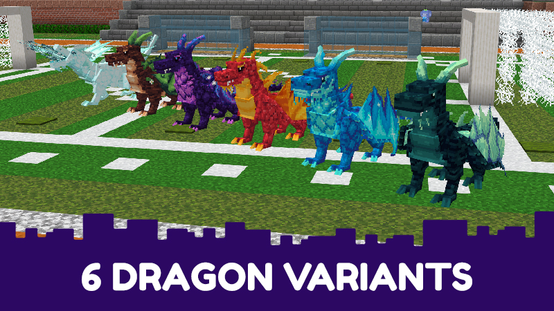 Dragons Buddy - Gift Screenshot #4