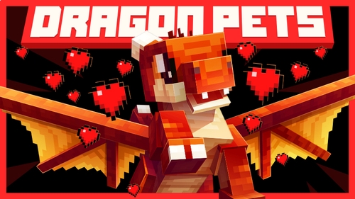 Dragon Pets