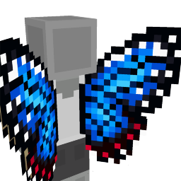 Blue Morpho Butterfly