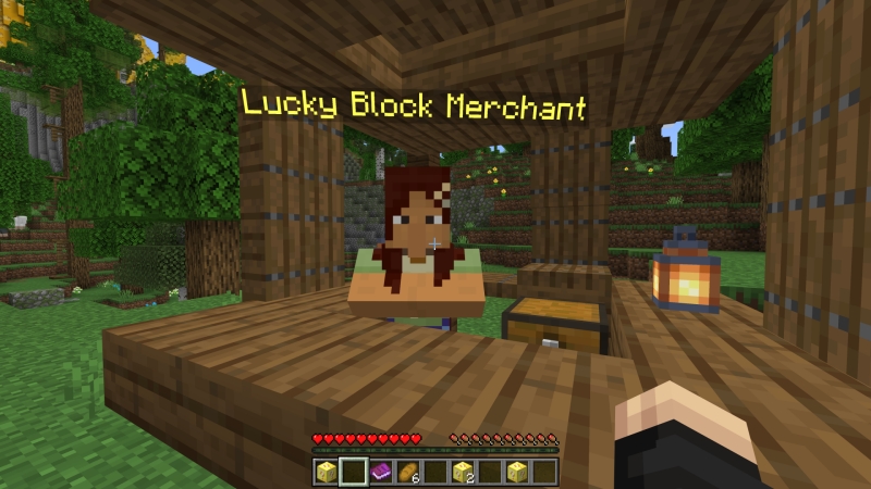 Lucky Blocks Screenshot #1