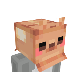 Cardboard Box Head