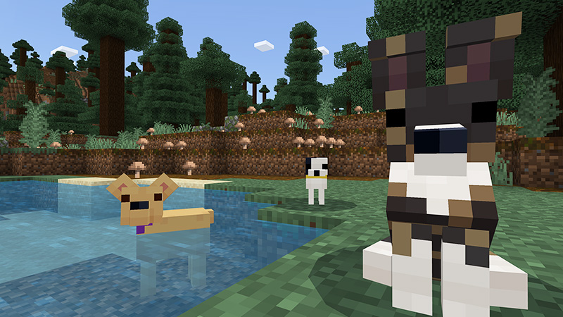 Rescue Dogs - MUTTS! Add-On by StacyPlays