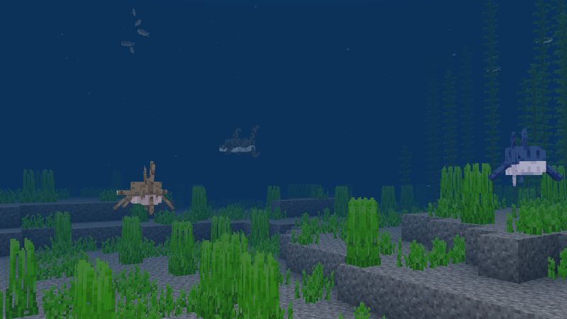 Ocean Explorers Add-On Screenshot #10