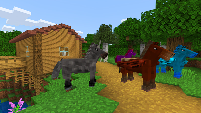 More Horses More Horses by House of How
