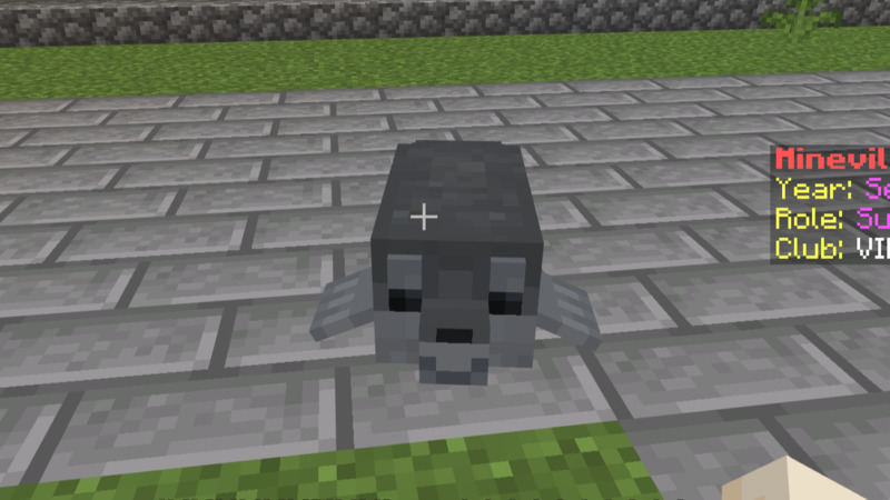 Seal Pet Screenshot #2