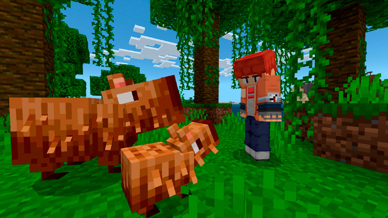 Biome Pets v1.2 Add-On Screenshot #8