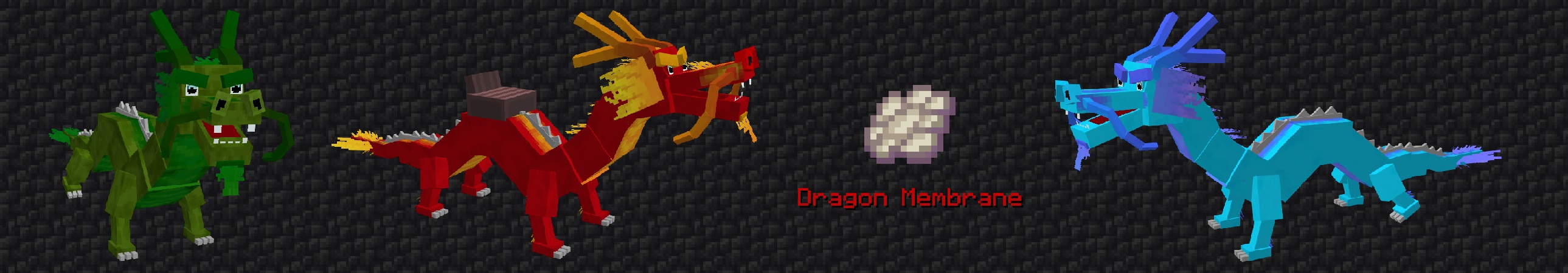Free the Dragon Panorama