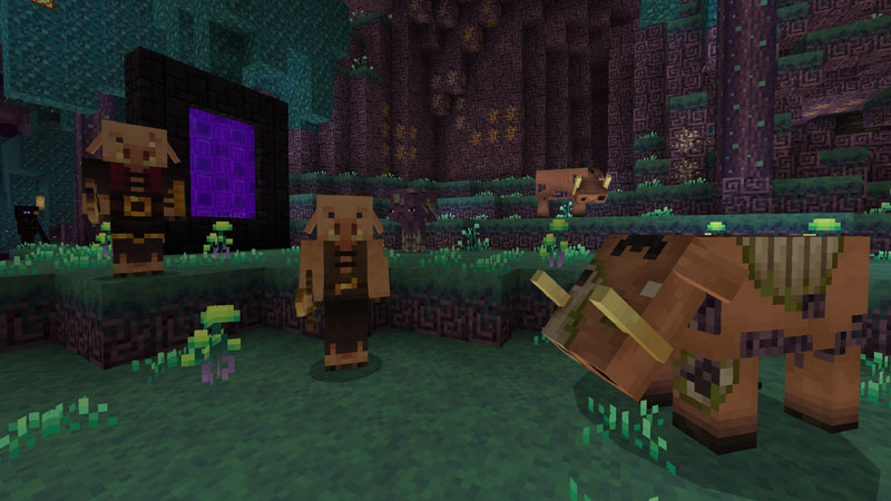 Mizuno Craft Screenshot #1