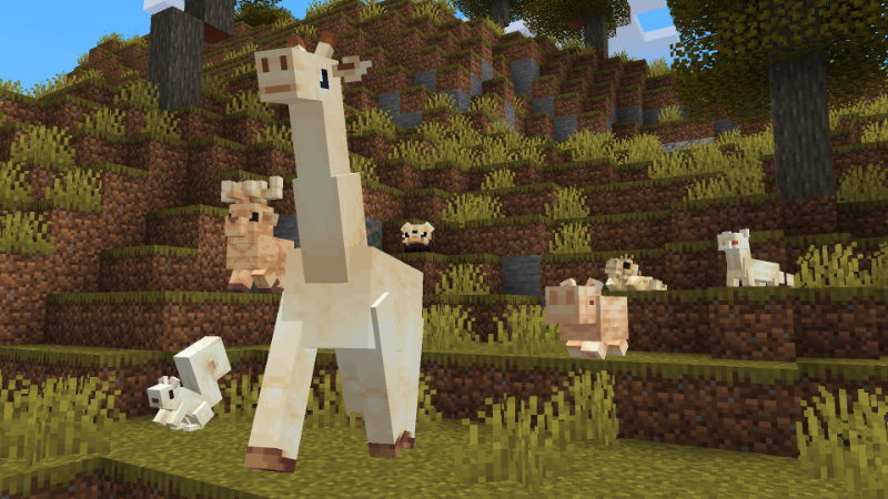 Albino Animals by Hourglass Studios