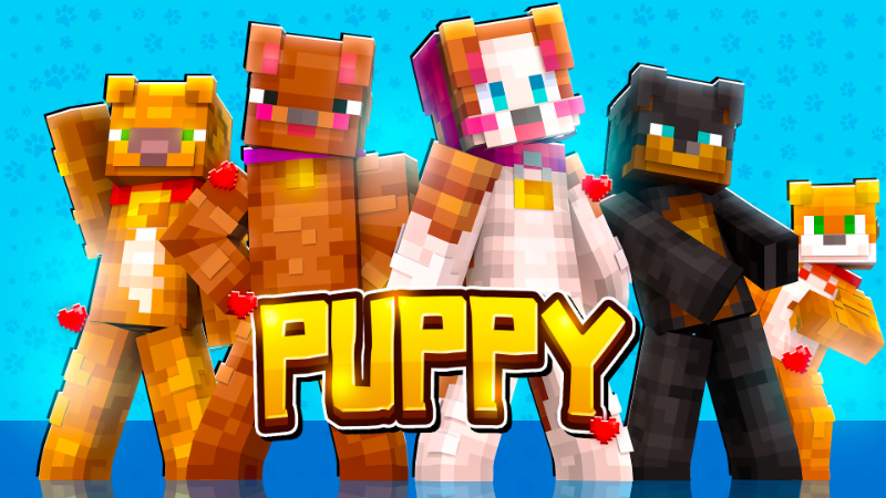 Puppy