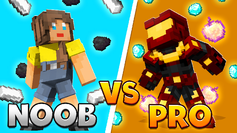 Noob Vs Pro Key Art