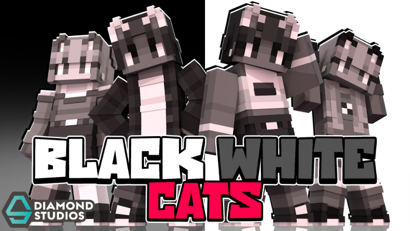 Black White Cats Key Art