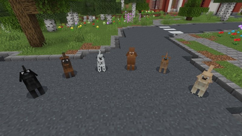 Dogs by Fall Studios