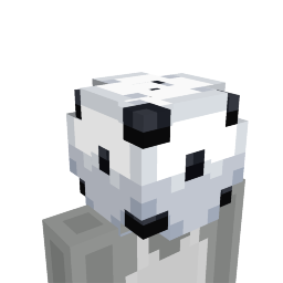 Football Soccer Head