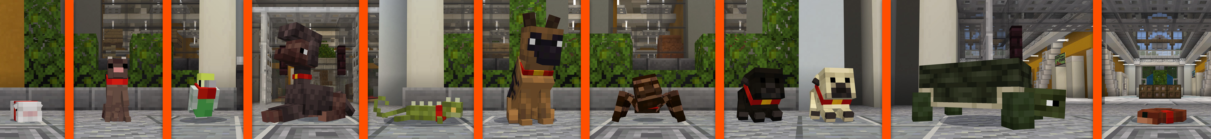 PETS: Shop panorama