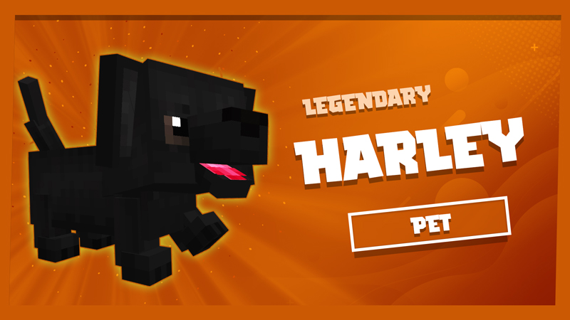 Harley Pet Key Art