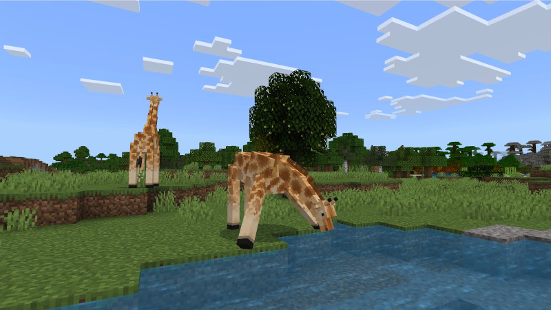 Wilderness Add-On by Lifeboat