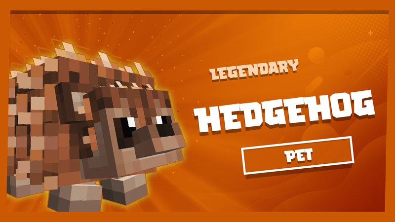 Hedgehog Pet Key Art