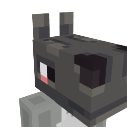 Llama Head