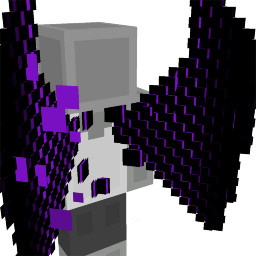 Ender Void Wings