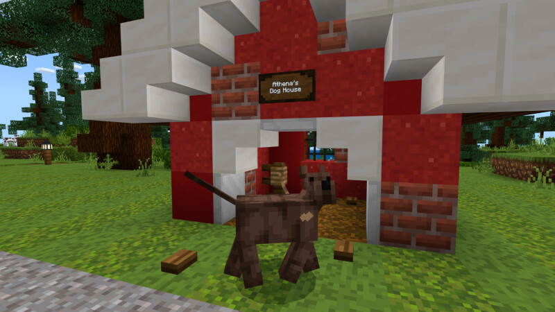 Dog Sanctuary Screenshot #2