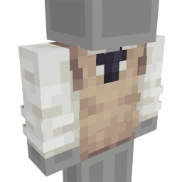 Beige Vest