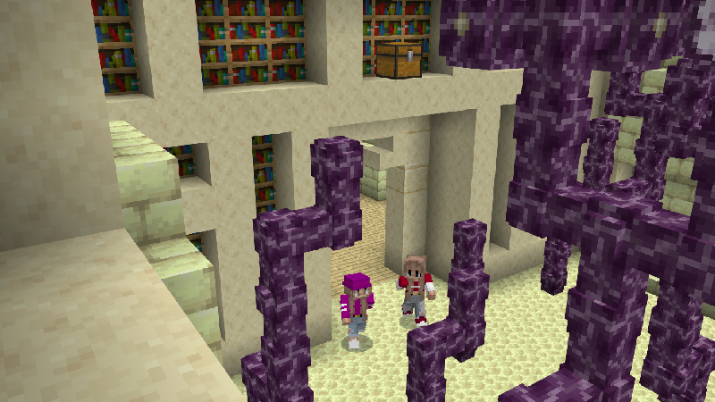 ENDER DRAGON BUNKER Screenshot #3