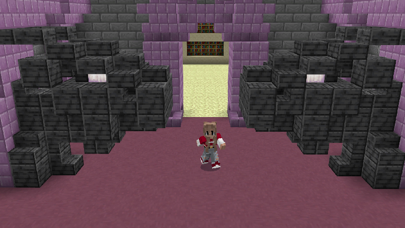 ENDER DRAGON BUNKER Screenshot #5