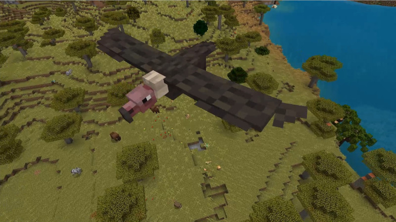 Wilderness Add-On by Lifeboat