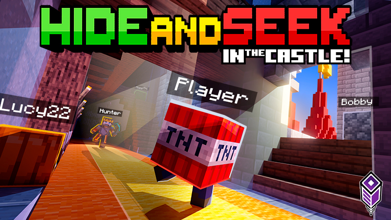 HIDE AND SEEK IN THE CASTLE