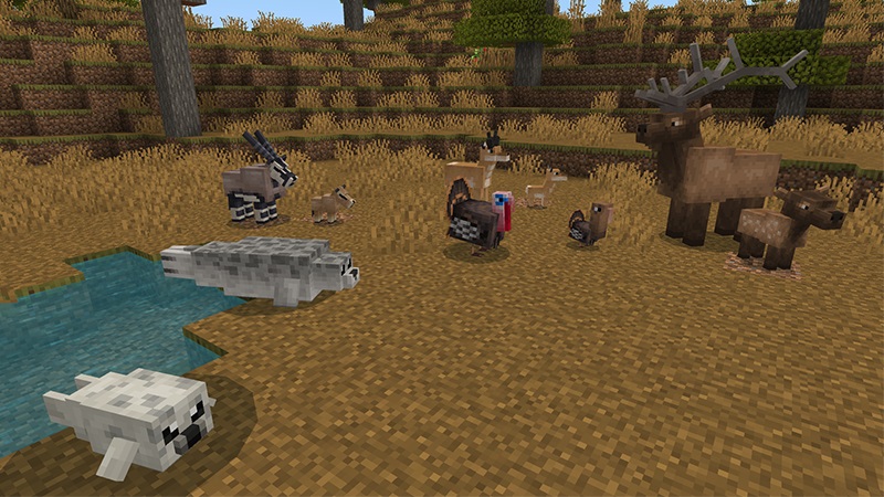 Wilderness Add-On by Lifeboat