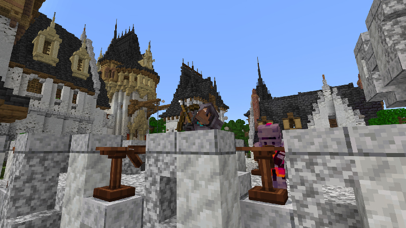 CASTLE SIEGE Screenshot #9