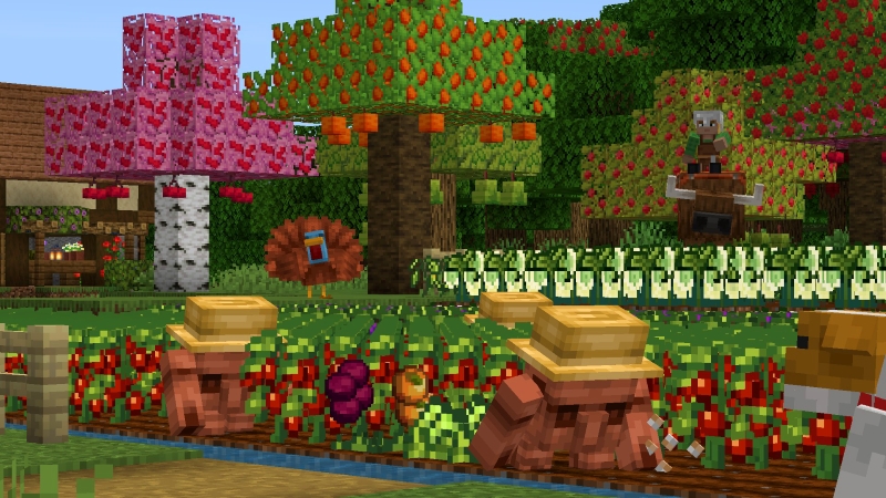 Farms + Foods by Misfits