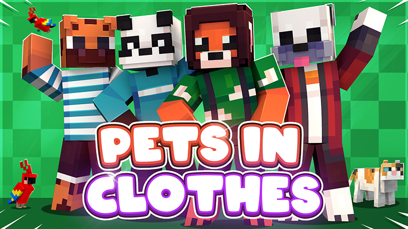 Pets in Clothes