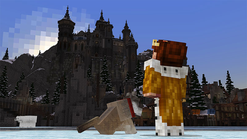 Medieval Texture Pack Screenshot #5