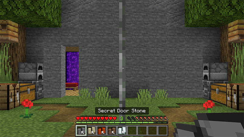 Security Expansion Add-On Security Expansion Add-On by Teplight